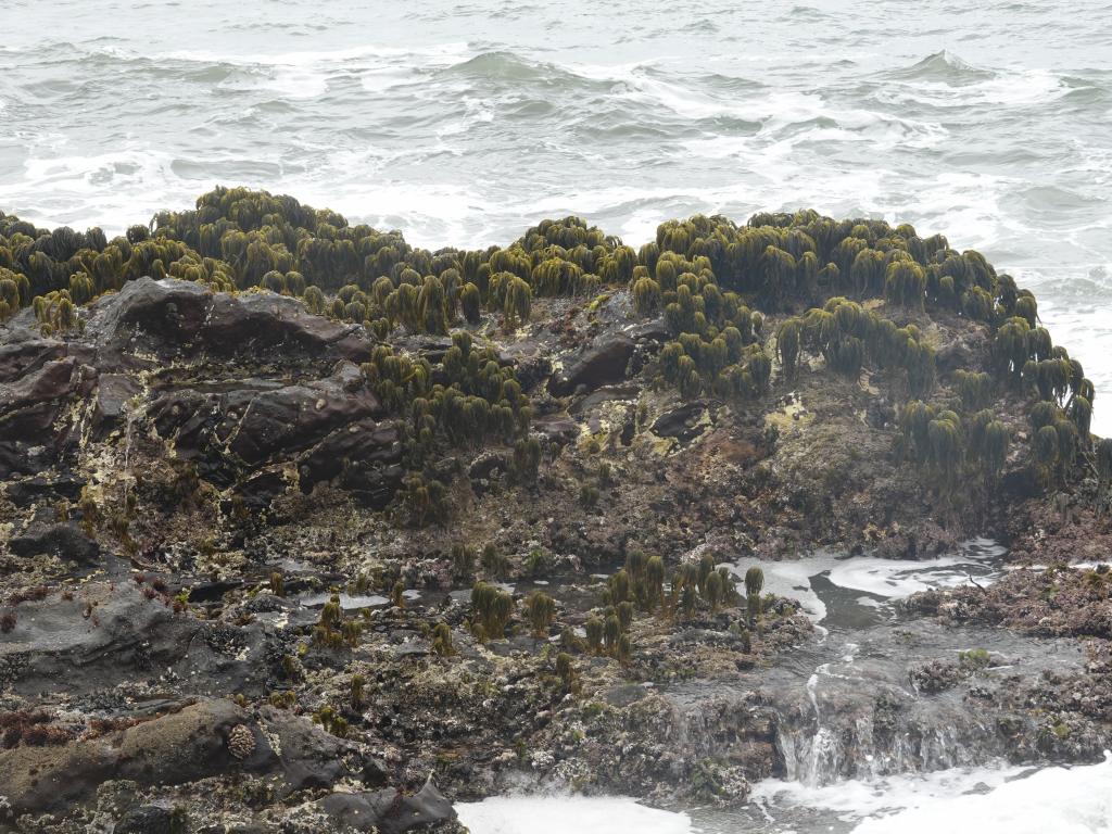 163 - 20190614 Hwy1 Beaches