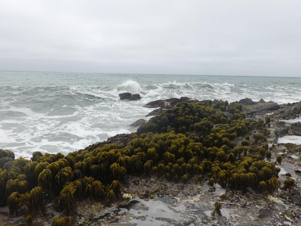 165 - 20190614 Hwy1 Beaches