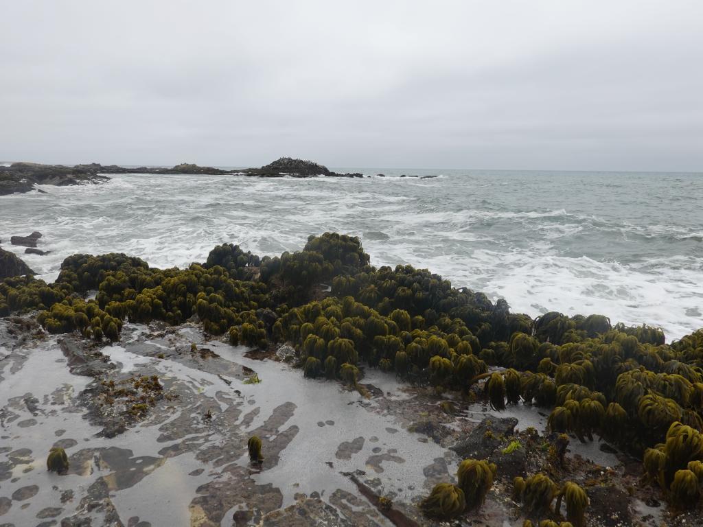 166 - 20190614 Hwy1 Beaches