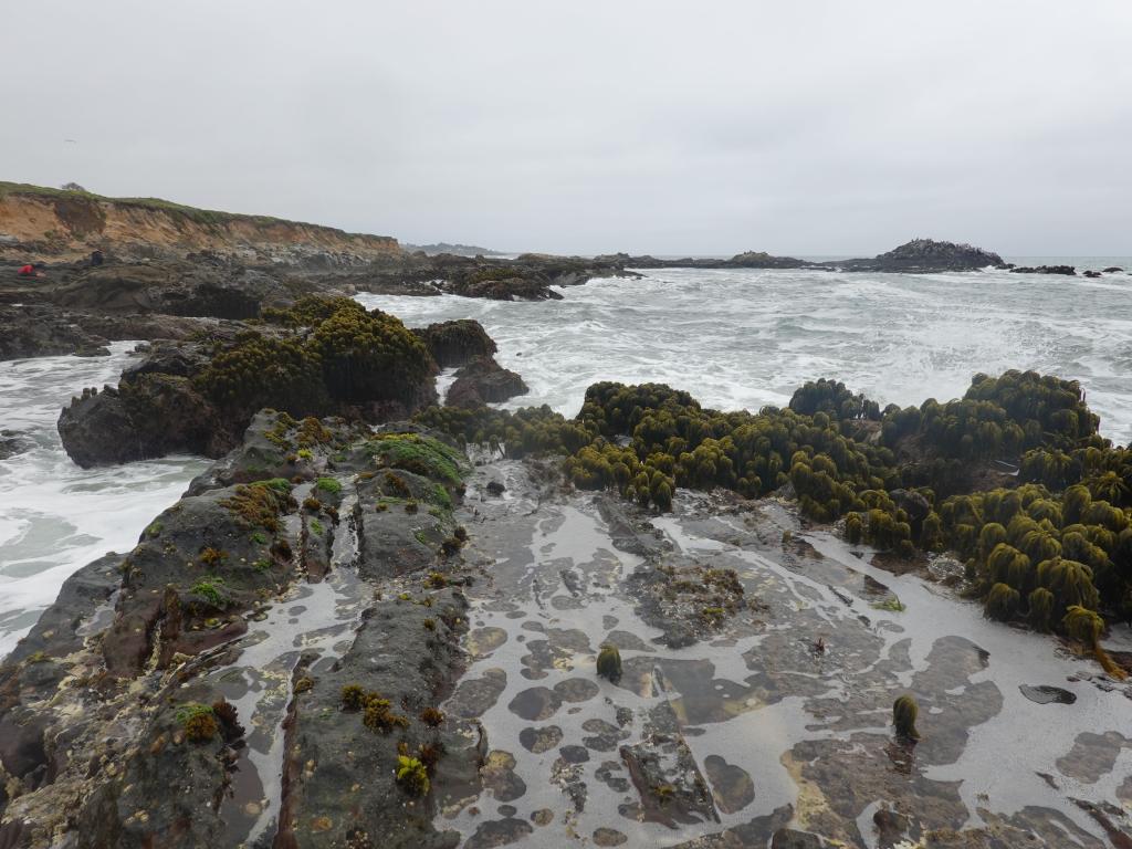 167 - 20190614 Hwy1 Beaches