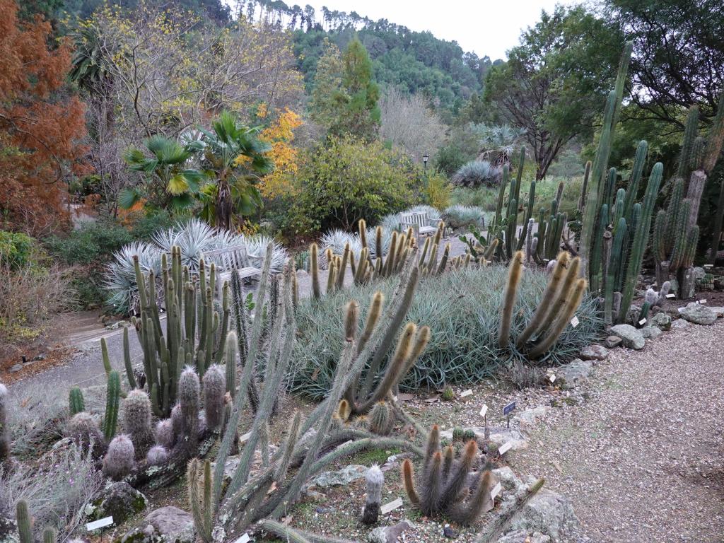 117 - 20191206 Berkeley Botanical Garden