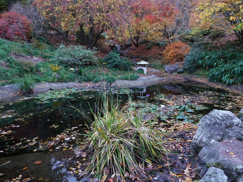 118 - 20191206 Berkeley Botanical Garden