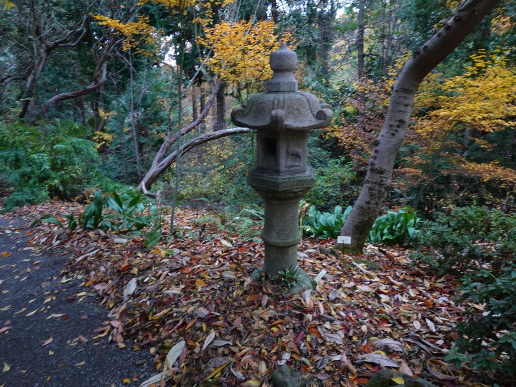 119 - 20191206 Berkeley Botanical Garden