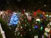 100 - 20191218 SJ Xmas in the Park