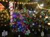 103 - 20191218 SJ Xmas in the Park