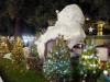 105 - 20191218 SJ Xmas in the Park