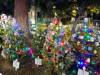 107 - 20191218 SJ Xmas in the Park