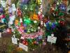 108 - 20191218 SJ Xmas in the Park