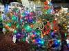 110 - 20191218 SJ Xmas in the Park