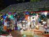 135 - 20191218 SJ Xmas in the Park