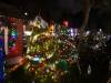 139 - 20191218 SJ Xmas in the Park