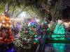 141 - 20191218 SJ Xmas in the Park
