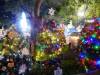 142 - 20191218 SJ Xmas in the Park
