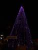 154 - 20191218 SJ Xmas in the Park