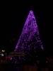 157 - 20191218 SJ Xmas in the Park