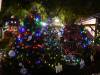 169 - 20191218 SJ Xmas in the Park