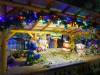 171 - 20191218 SJ Xmas in the Park