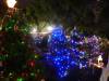 173 - 20191218 SJ Xmas in the Park