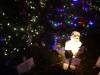 174 - 20191218 SJ Xmas in the Park