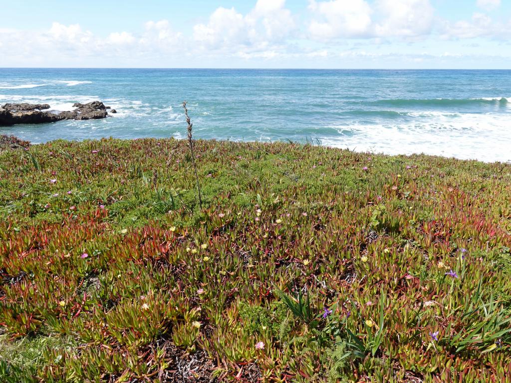 127 - 20200326 Hwy1 Beaches