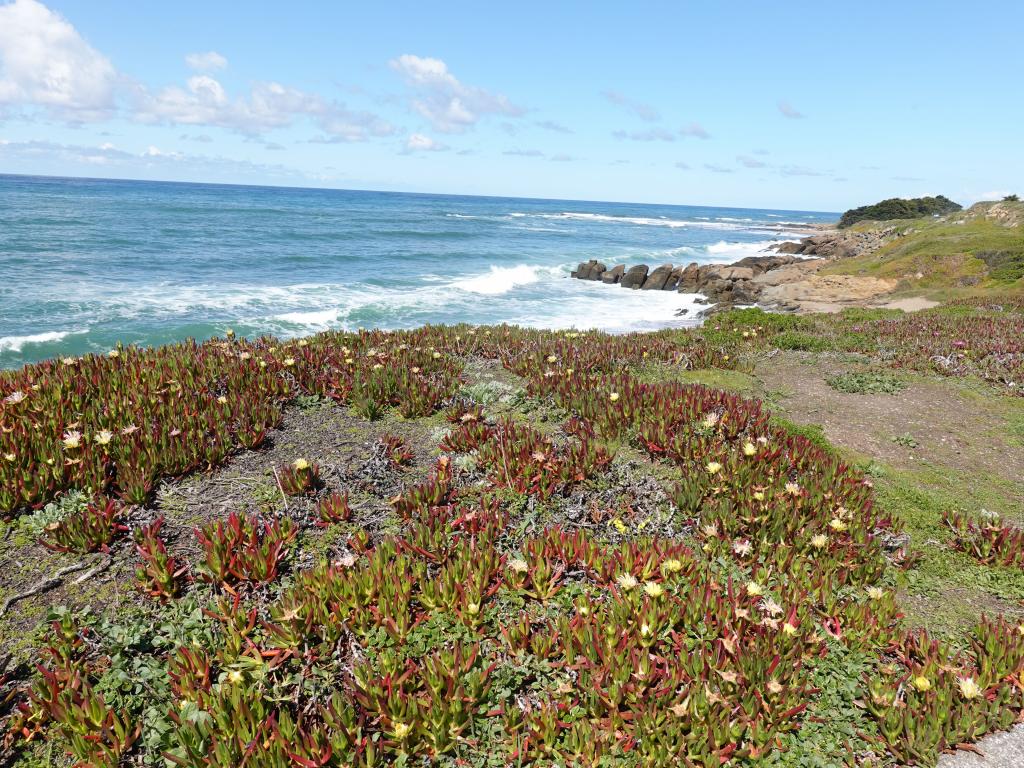 131 - 20200326 Hwy1 Beaches