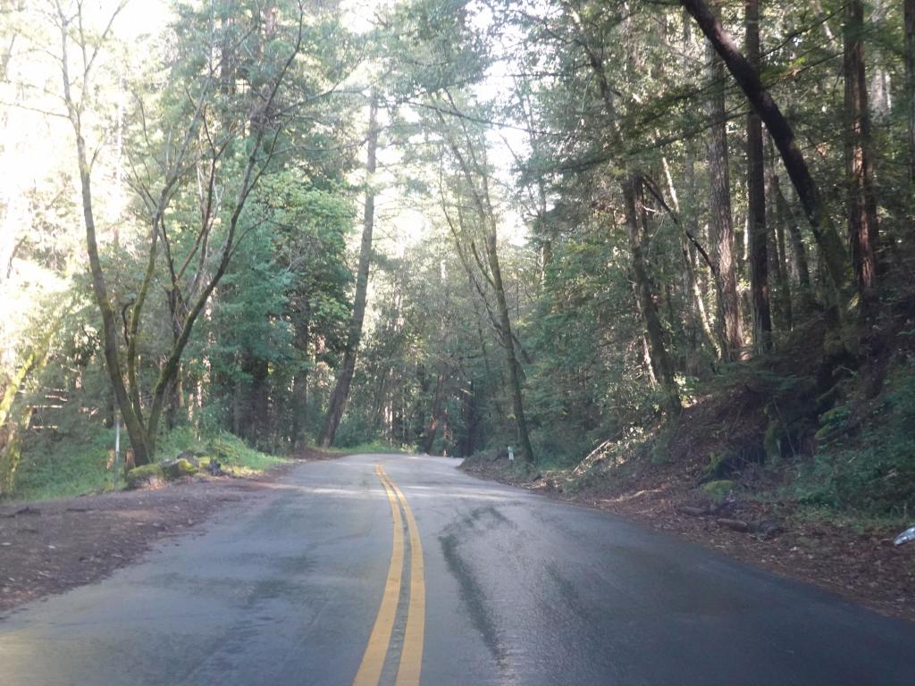 222 - 20200326 Hwy1 Beaches