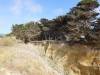135 - 20200807 Hwy1 Beaches Half Moon Bay