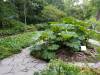 104 - 20220627 De Hortus Botanical Gardens