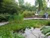 105 - 20220627 De Hortus Botanical Gardens