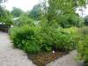 107 - 20220627 De Hortus Botanical Gardens