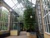 108 - 20220627 De Hortus Botanical Gardens