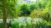 109 - 20220627 De Hortus Botanical Gardens
