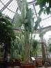 110 - 20220627 De Hortus Botanical Gardens