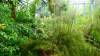 138 - 20220627 De Hortus Botanical Gardens