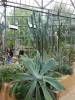 140 - 20220627 De Hortus Botanical Gardens