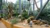141 - 20220627 De Hortus Botanical Gardens