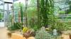 142 - 20220627 De Hortus Botanical Gardens