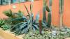 143 - 20220627 De Hortus Botanical Gardens