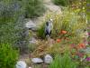 145 - 20220627 De Hortus Botanical Gardens