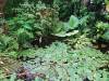149 - 20220627 De Hortus Botanical Gardens