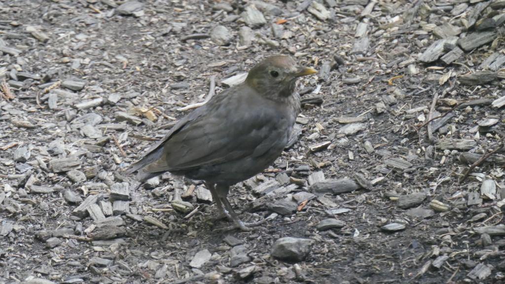 3112 - 20220801 Leuven Kruidtuin