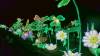 106 - 20221228 Jardin Des Plantes Panasonic