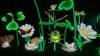 107 - 20221228 Jardin Des Plantes Panasonic
