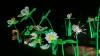 109 - 20221228 Jardin Des Plantes Panasonic