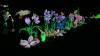 110 - 20221228 Jardin Des Plantes Panasonic