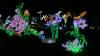 111 - 20221228 Jardin Des Plantes Panasonic