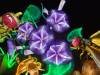 120 - 20221228 Jardin Des Plantes SONY