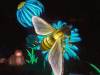 122 - 20221228 Jardin Des Plantes SONY