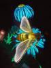 123 - 20221228 Jardin Des Plantes SONY