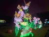 124 - 20221228 Jardin Des Plantes SONY